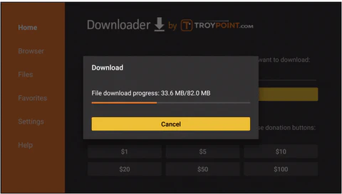 Schritt 6: Download-URL eingeben