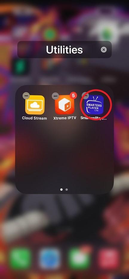 Schritt 5: Bedingungen akzeptieren